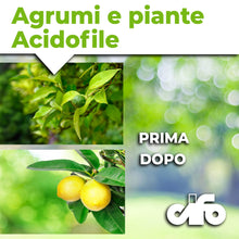 Carica l'immagine nel visualizzatore di Gallery, CIFO - Concime Agrumi a Base di Lupini Macinati per Limoni, Aranci e Piante Acidofile - Concime Granulare, Biologico e 1