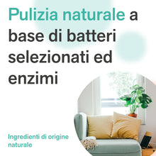 Carica l'immagine nel visualizzatore di Gallery, BactPro - BactHome - elimina odori, macchie di sudore e urina da materassi, vestiti, tessuti, scarpe e attrezzature spor