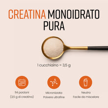 Carica l'immagine nel visualizzatore di Gallery, Creatina Monoidrata in Polvere Micronizzata | Busta da 400g | 114 Porzioni | Creatina Monohidrato Polvere Ultra Fine 200