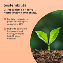 Carica l'immagine nel visualizzatore di Gallery, Nutravita Curcuma Bio, Piperina e Zenzero 1440 mg - 180 Curcumina Capsule