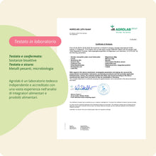 Carica l'immagine nel visualizzatore di Gallery, Vegavero Magnesio Completo Complex, con Vitamina B2 e B6, 4 Forme: Citrato + Bisglicinato + Malato + Taurato, 180 capsul