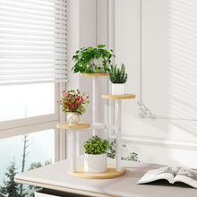 Carica l'immagine nel visualizzatore di Gallery, IBUYKE 4 Livelli Supporto per Piante da Interno, Bianco TMJ073R