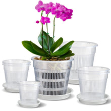 Carica l'immagine nel visualizzatore di Gallery, 8 vasi trasparenti per orchidee, 11/14/16/19 cm, in plastica