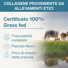 Carica l'immagine nel visualizzatore di Gallery, Igennus 100% Collagene Idrolizzato, Peptidi di Collagene Grass Fed, 400gr