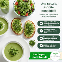 Carica l'immagine nel visualizzatore di Gallery, Magic of Nature: 1kg Semi di Crescione - Formato Scorta