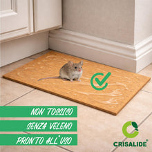 Carica l'immagine nel visualizzatore di Gallery, Crisalide® Trappola Adesiva per Topi, Scarafaggi e Geco, 2 Tavole Collanti in MDF Legno, Non Tossica, Senza Veleno, Pron