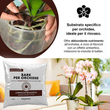 Carica l'immagine nel visualizzatore di Gallery, Kalapanta Bark per Orchidee Linea Professionale, 2 Litri, Pezzatura 5-15 mm, Substrato a Base di Corteccia di Pino Marit