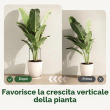 Carica l'immagine nel visualizzatore di Gallery, Bamworld Set di 6 Pali di Supporto Semicircolari per Piante, Resistenti e Versatili, con Anello di Supporto per Piante, 