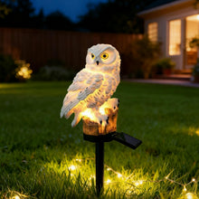 Carica l'immagine nel visualizzatore di Gallery, XVZ Lampade Solari per Esterni Giardino, Gufo statuette da giardino, luci solari decorazione per prato, terrazza, cortil