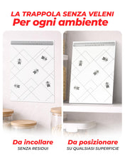 Carica l'immagine nel visualizzatore di Gallery, PIC Trappole Farfalline Alimentari 12x – Antitarme per Cucina e Dispensa