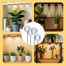Carica l'immagine nel visualizzatore di Gallery, Wigearss 4 Pezzi Lampada per Piante da Interno, Grow Light Piante, Luce Piante, Lampade da Coltivazione Indoor Spettro C