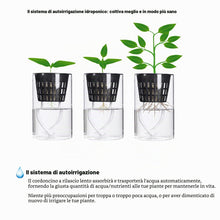 Carica l'immagine nel visualizzatore di Gallery, ORIMERC 30 pezzi netti pots da 7,6cm con stoppino idroponico da 9m, per acquaponica, vaso da muratore, secchielli per or