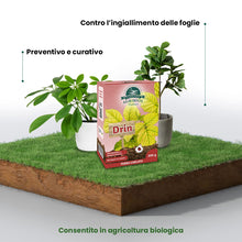 Carica l'immagine nel visualizzatore di Gallery, Il Paese Verde Drin Ferro Chelato, 200g