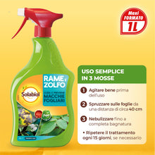 Carica l'immagine nel visualizzatore di Gallery, Solabiol Rame e zolfo spray pronto uso. Integratore a base di rame, zolfo e microelementi cura e previene le macchie fog