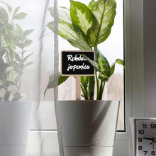 Carica l'immagine nel visualizzatore di Gallery, 20 Pcs Etichette per Piante in Legno Targhette per Orto con Pennarello Impermeabile per Piante da Giardino,Semi,Fiori,Er