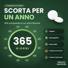 Carica l'immagine nel visualizzatore di Gallery, Vitamina B Complex ad alto dosaggio – 365 Compresse – 1 Anno di Scorta