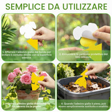 Carica l'immagine nel visualizzatore di Gallery, CNMTCCO 30 Pezzi Trappola per Moscerini, Trappole Adesive Gialle per Moscerini Della Frutta e Insetti, per Insetti Volan