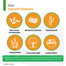 Carica l'immagine nel visualizzatore di Gallery, Armolipid Plus 30 Compresse, Integratore Alimentare per Regolare il Colesterolo, con Berberis Aristata, Riso Rosso Ferme