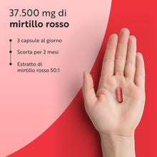 Carica l'immagine nel visualizzatore di Gallery, Nutravita Mirtillo Rosso 37.500mg - 2 Mesi