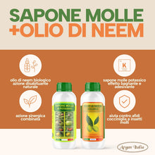 Carica l'immagine nel visualizzatore di Gallery, Argan Italia - Olio di Neem e Sapone Molle Potassico per Piante 1+1 Litri, Olio di Neem Solubile Agisce Naturalmente Con