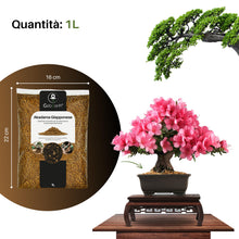 Carica l'immagine nel visualizzatore di Gallery, GebEarth® - Akadama Giapponese Professionale per Bonsai 2-5mm da 1L【Equilibrio Perfetto di Acqua, Aria &amp; Minerali】