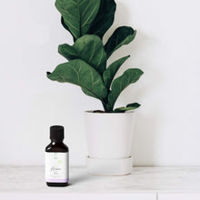 Carica l'immagine nel visualizzatore di Gallery, 50ml Olio essenziale di Ravintsara BIO (Cinnamomum camphora) - 100% Puro, Naturale e Biologico - Potente Antivirale e An