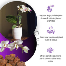 Carica l'immagine nel visualizzatore di Gallery, GebEarth® | Bark per Orchidee Professionale 【3 litri】| Pezzatura 10 – 15 mm | Substrato a base di Corteccia 100% Natural