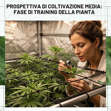 Carica l'immagine nel visualizzatore di Gallery, Rete Scrog Rete per Piante 60×60cm, Rete di Coltivazione Elastica Estensibile a 90×90cm, Rete Rampicante con 4 Ganci per