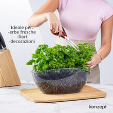 Carica l'immagine nel visualizzatore di Gallery, KONZEPT Vaso da fiori grande per interni per orchidee, ovale, trasparente, decorazione per piante e piante grasse