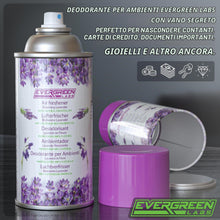 Carica l'immagine nel visualizzatore di Gallery, Deodorante per ambienti Evergreen Labs con scomparto segreto: il tuo nascondiglio segreto definitivo, perfetto per ogget