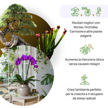 Carica l'immagine nel visualizzatore di Gallery, GebEarth®| Sfagno Cileno in Fibre: Substrato per Orchidee, Bonsai e Carnivore | Perfetto per Kokedama, Verde Verticale, 