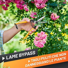 Carica l'immagine nel visualizzatore di Gallery, GRÜNTEK Forbici Cesoie da Potatura Bonsai Fiori Rose Giardino KITE 200mm. Cesoie da Giardinaggio con Lame in Acciao al C