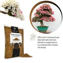 Carica l'immagine nel visualizzatore di Gallery, GebEarth® - Akadama Giapponese Professionale per Bonsai 2-5mm da 1L【Equilibrio Perfetto di Acqua, Aria &amp; Minerali】