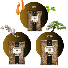 Carica l'immagine nel visualizzatore di Gallery, GebEarth®| Sfagno Cileno in Fibre: Substrato per Orchidee, Bonsai e Carnivore | Perfetto per Kokedama, Verde Verticale, 