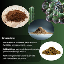 Carica l'immagine nel visualizzatore di Gallery, GebEarth® - Terriccio Professionale per Piante Grasse e Succulente da 1 Litro【 Substrato ideale per Cactacee e altre Pia