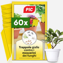 Carica l'immagine nel visualizzatore di Gallery, PIC Trappola per Moscerini 60x – Carte Adesive Gialle per Piante da Interno