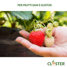 Carica l'immagine nel visualizzatore di Gallery, CLOSTER Microelementi 250 ML - Concime Liquido Universale e Fertilizzante Piante - rimedio naturale contro le Carenze di