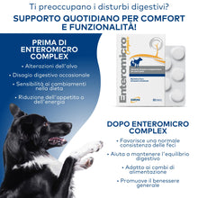 Carica l'immagine nel visualizzatore di Gallery, DRN Enteromicro Complex Fermenti Lattici Probiotici Cani Gatti 32 Compresse