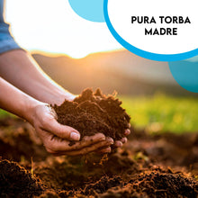 Carica l'immagine nel visualizzatore di Gallery, ZOMA Torba acida di sfagno Ph 3,5 qualità Superiore - Torba per piante estratta dalle torbiere baltiche, Ideale pura o i