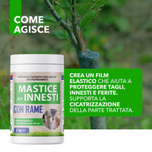 Carica l'immagine nel visualizzatore di Gallery, Mastice Per Innesti E Potature - Con Rame - Antibatterico Pasta Cicatrizzante Curativa Per Ferite Piante Alberi Arbusti 