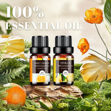 Carica l'immagine nel visualizzatore di Gallery, AESHORY Set di Oli Essenziali 20 X 5ML, Olio Essenziale Naturali per Aromaterapia, Diffusori, Umidificatore, Kit Oli Ess