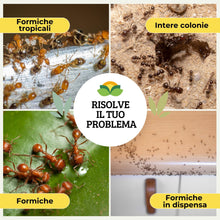 Carica l'immagine nel visualizzatore di Gallery, Albagarden - Insetticida Gel Formiche - Esca formiche ad Azione Ritardata Per Eliminare La Colonia - Veleno Pronto All'u