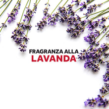 Carica l'immagine nel visualizzatore di Gallery, Raid Anti Tarme Gabbietta Vestiti, Per Capi Profumati, Lavanda, 2 Pezzi