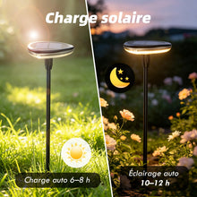 Carica l'immagine nel visualizzatore di Gallery, Luci Solari da Giardino 4 Pezzi Luci da Esterno Giardino 1000mAh lampade solari da giardino 34 lumen IP65 luce solare gi
