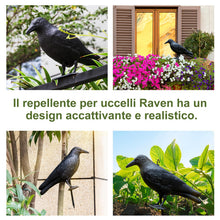 Carica l'immagine nel visualizzatore di Gallery, OFFO Corvo Scaccia Piccioni,Spaventa Piccioni e Uccelli,Corvo Finto da Balcone,Corvi Finti Anti Piccioni in Polietilene,
