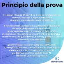 Carica l'immagine nel visualizzatore di Gallery, Kit per il test di Clamidia e Gonorrea | Testa uomini o donne per Clamidia e Gonorrea tramite tampone | Test rapido per 