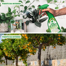 Carica l'immagine nel visualizzatore di Gallery, Gardemia Olio di Neem Spray per Piante 750ml Pronto Uso Azione Naturale contro varie Avversità Giardino Casa Multiuso Es