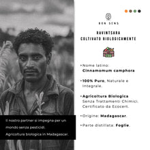 Carica l'immagine nel visualizzatore di Gallery, 50ml Olio essenziale di Ravintsara BIO (Cinnamomum camphora) - 100% Puro, Naturale e Biologico - Potente Antivirale e An
