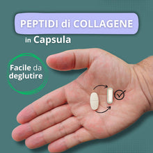 Carica l'immagine nel visualizzatore di Gallery, Collagene e Acido Ialuronico - Collagene Idrolizzato con Acido Ialuronico Coenzima Q10 + Vitamina C + Magnesio, Vitamina