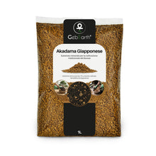 Carica l'immagine nel visualizzatore di Gallery, GebEarth® - Akadama Giapponese Professionale per Bonsai 2-5mm da 1L【Equilibrio Perfetto di Acqua, Aria &amp; Minerali】